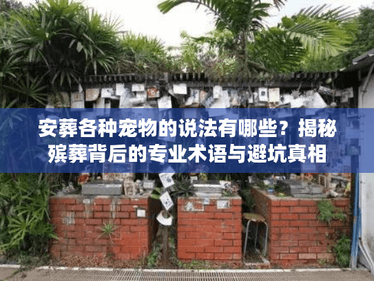 安葬各种宠物的说法有哪些？揭秘殡葬背后的专业术语与避坑真相