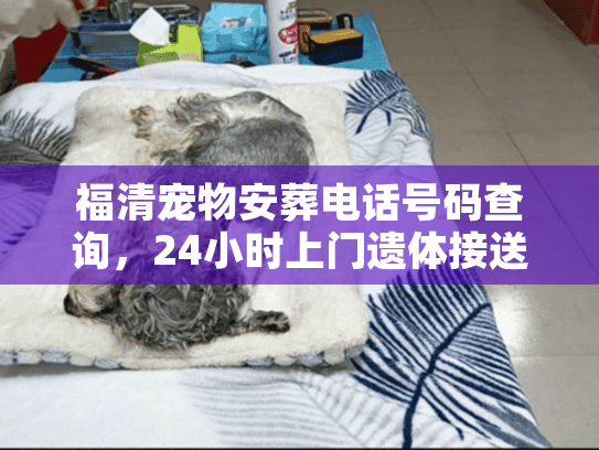 福清宠物安葬电话号码查询，24小时上门遗体接送与火化