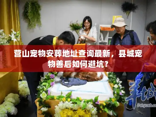 营山宠物安葬地址查询最新,县城宠物善后如何避坑? 营山宠物安葬地址查询最新,县城宠物善后如何避坑?