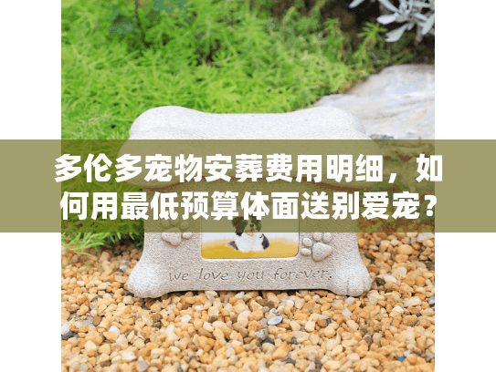 多伦多宠物安葬费用明细,如何用最低预算体面送别爱宠? 多伦多宠物安葬费用明细,如何用最低预算体面送别爱宠?