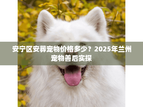 安宁区安葬宠物价格多少？2025年兰州宠物善后实探