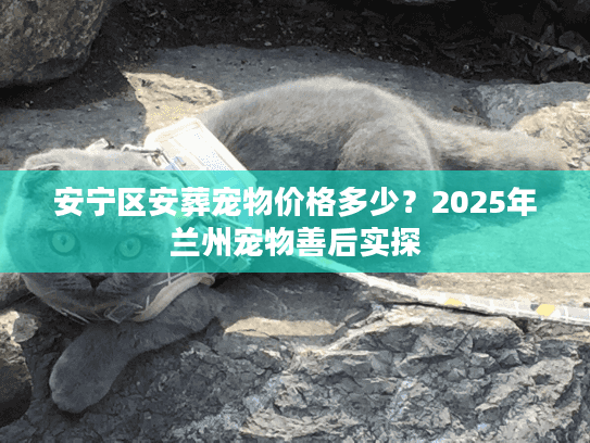 安宁区安葬宠物价格多少？2025年兰州宠物善后实探