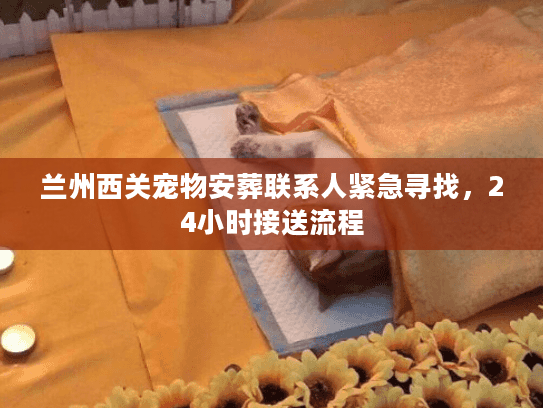 兰州西关宠物安葬联系人紧急寻找，24小时接送流程