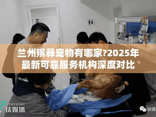 兰州殡葬宠物有哪家?2025年最新可靠服务机构深度对比