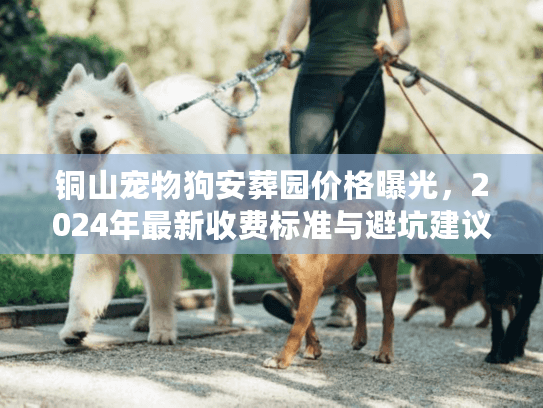 铜山宠物狗安葬园价格曝光，2024年最新收费标准与避坑建议