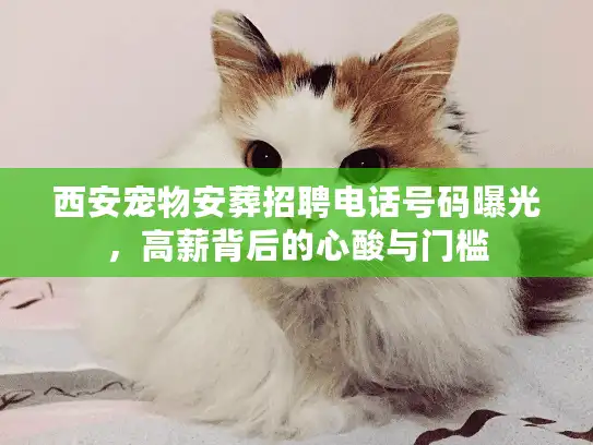 西安宠物安葬招聘电话号码曝光，高薪背后的心酸与门槛