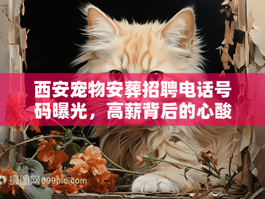 西安宠物安葬招聘电话号码曝光，高薪背后的心酸与门槛