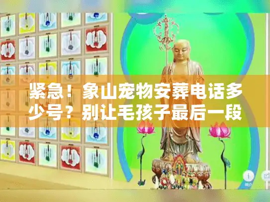 紧急！象山宠物安葬电话多少号？别让毛孩子最后一段路留遗憾