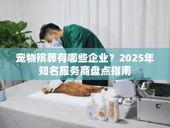 宠物殡葬有哪些企业？2025年知名服务商盘点指南