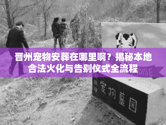 晋州宠物安葬在哪里啊？揭秘本地合法火化与告别仪式全流程