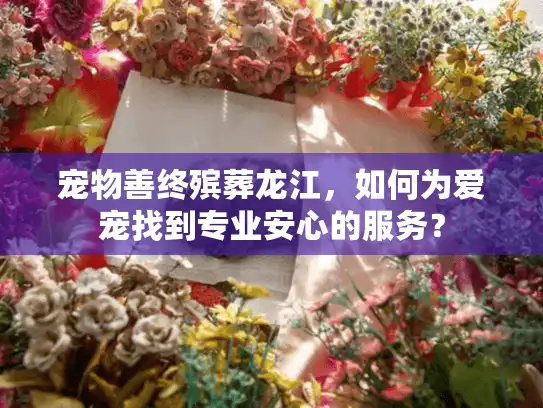 宠物善终殡葬龙江，如何为爱宠找到专业安心的服务？