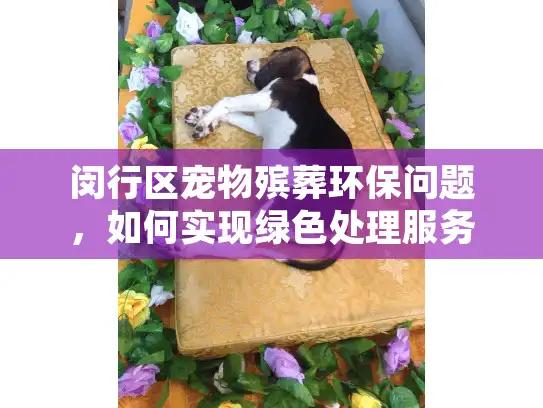 闵行区宠物殡葬环保问题,如何实现绿色处理服务? 闵行区宠物殡葬环保问题,如何实现绿色处理服务?