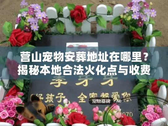 营山宠物安葬地址在哪里？揭秘本地合法火化点与收费标准
