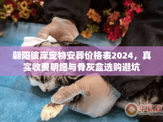 朝阳彼岸宠物安葬价格表2024，真实收费明细与骨灰盒选购避坑