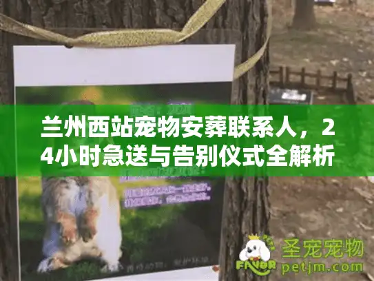 兰州西站宠物安葬联系人,24小时急送与告别仪式全解析 兰州西站宠物安葬联系人,24小时急送与告别仪式全解析
