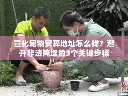 宣化宠物安葬地址怎么找？避开非法掩埋的3个关键步骤