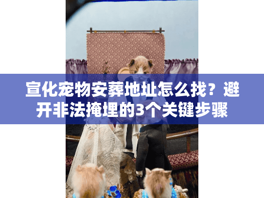 宣化宠物安葬地址怎么找？避开非法掩埋的3个关键步骤