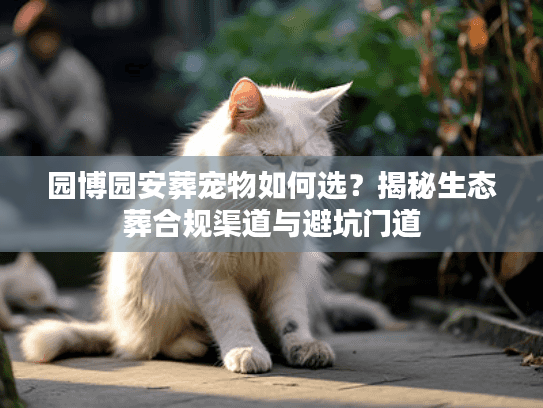园博园安葬宠物如何选？揭秘生态葬合规渠道与避坑门道