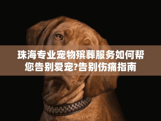 珠海专业宠物殡葬服务如何帮您告别爱宠?告别伤痛指南 珠海专业宠物殡葬服务如何帮您告别爱宠?告别伤痛指南