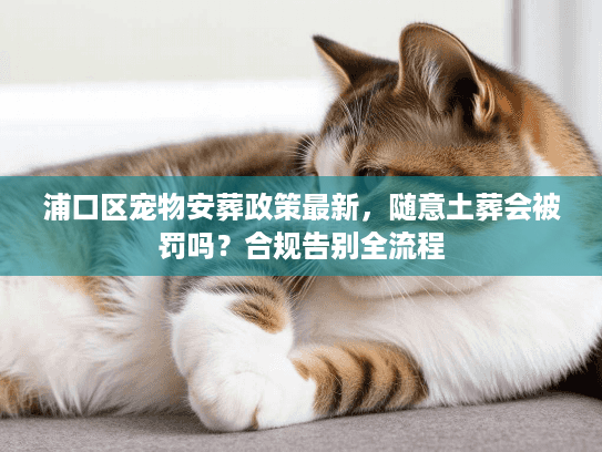 浦口区宠物安葬政策最新，随意土葬会被罚吗？合规告别全流程