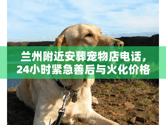 兰州附近安葬宠物店电话，24小时紧急善后与火化价格内幕