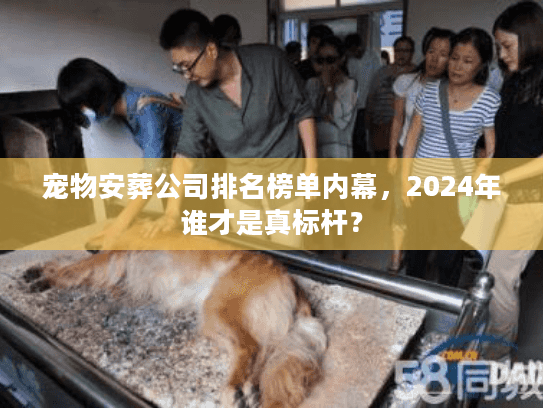宠物安葬公司排名榜单内幕，2024年谁才是真标杆？
