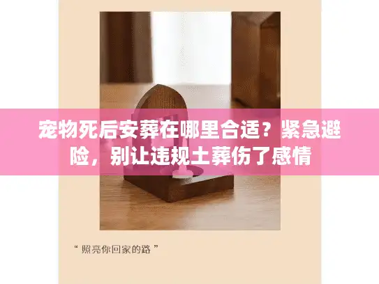 宠物死后安葬在哪里合适？紧急避险，别让违规土葬伤了感情