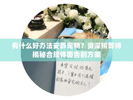 有什么好办法安葬宠物？资深殡葬师揭秘合规体面告别方案