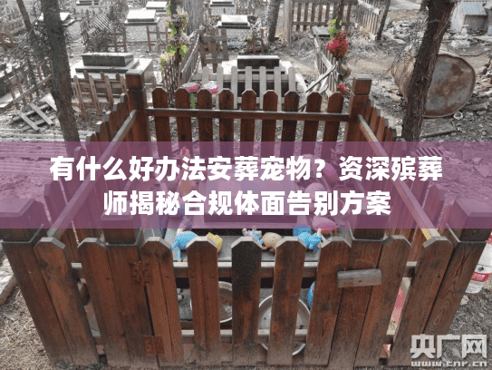 有什么好办法安葬宠物？资深殡葬师揭秘合规体面告别方案