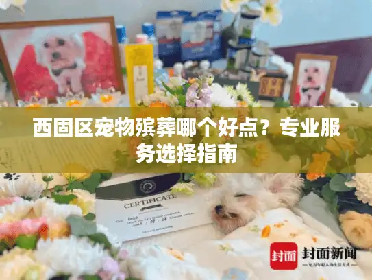 西固区宠物殡葬哪个好点？专业服务选择指南