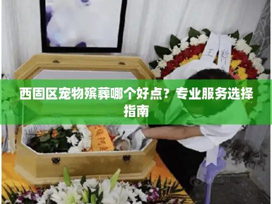 西固区宠物殡葬哪个好点？专业服务选择指南
