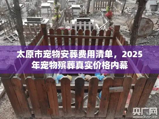 太原市宠物安葬费用清单，2025年宠物殡葬真实价格内幕
