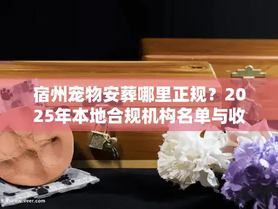 宿州宠物安葬哪里正规？2025年本地合规机构名单与收费内幕
