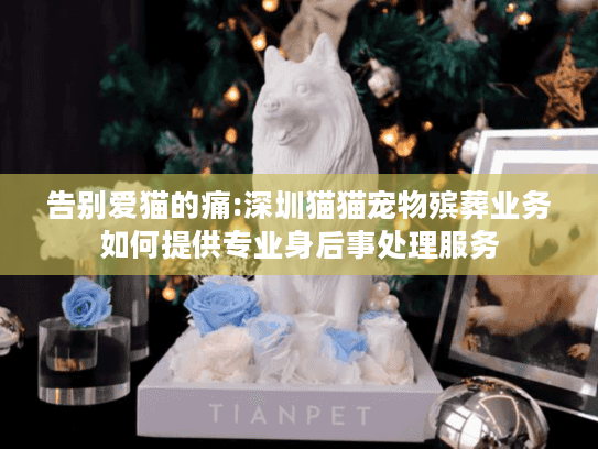 告别爱猫的痛:深圳猫猫宠物殡葬业务如何提供专业身后事处理服务