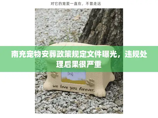 南充宠物安葬政策规定文件曝光，违规处理后果很严重