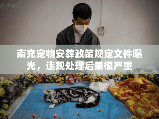 南充宠物安葬政策规定文件曝光，违规处理后果很严重