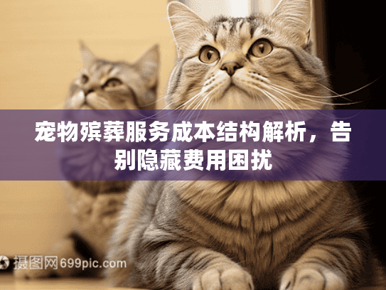 宠物殡葬服务成本结构解析，告别隐藏费用困扰
