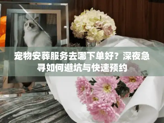 宠物安葬服务去哪下单好？深夜急寻如何避坑与快速预约
