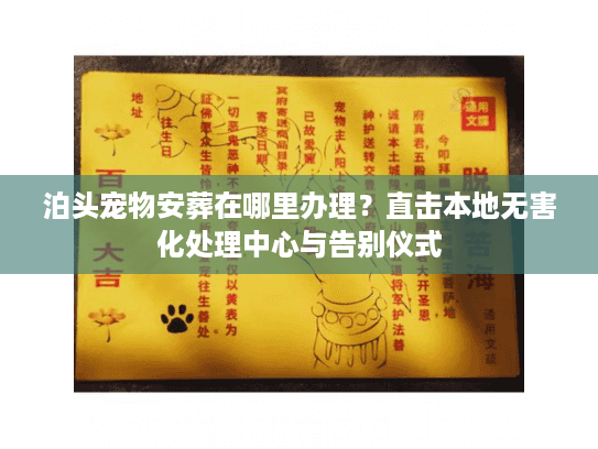 泊头宠物安葬在哪里办理？直击本地无害化处理中心与告别仪式