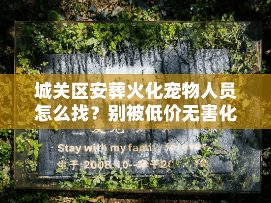 城关区安葬火化宠物人员怎么找?别被低价无害化处理坑了 城关区安葬火化宠物人员怎么找?别被低价无害化处理坑了