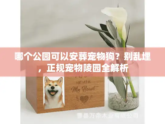 哪个公园可以安葬宠物狗？别乱埋，正规宠物陵园全解析