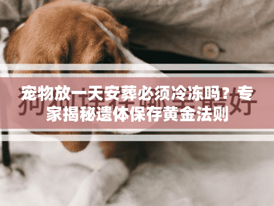 宠物放一天安葬必须冷冻吗?专家揭秘遗体保存黄金法则 宠物放一天安葬必须冷冻吗?专家揭秘遗体保存黄金法则