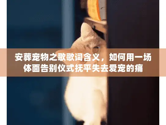 安葬宠物之歌歌词含义，如何用一场体面告别仪式抚平失去爱宠的痛