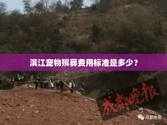 滨江宠物殡葬费用标准是多少？