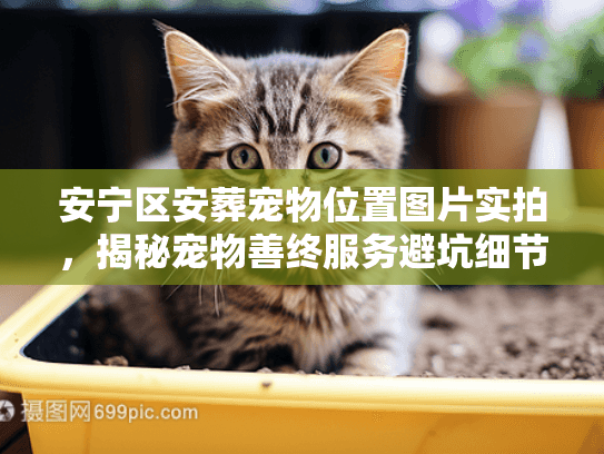 安宁区安葬宠物位置图片实拍，揭秘宠物善终服务避坑细节