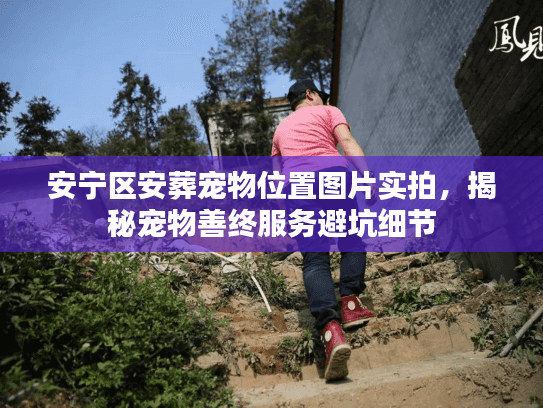 安宁区安葬宠物位置图片实拍，揭秘宠物善终服务避坑细节
