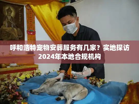 呼和浩特宠物安葬服务有几家？实地探访2024年本地合规机构