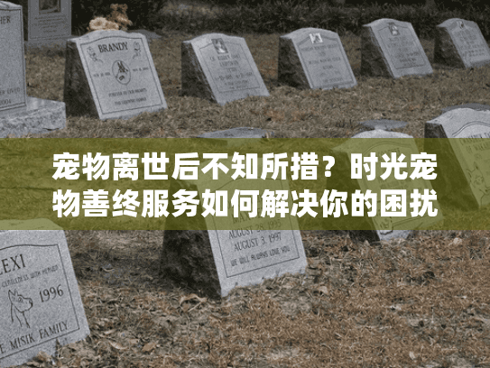 宠物离世后不知所措？时光宠物善终服务如何解决你的困扰？