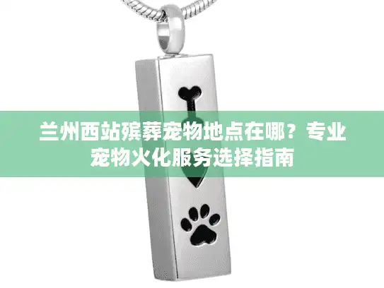 兰州西站殡葬宠物地点在哪？专业宠物火化服务选择指南