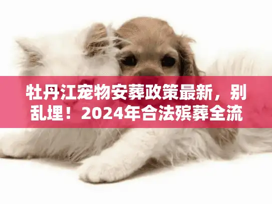 牡丹江宠物安葬政策最新，别乱埋！2024年合法殡葬全流程解析